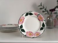 Villeroy & Boch * Wilde Rose * Kleiner Teller 16 cm * 6 Stück Niedersachsen - Seelze Vorschau