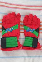 Handschuhe Fingerhandschuhe Skihandschuhe Ski Winter Gr. 10 Schleswig-Holstein - Schwentinental Vorschau