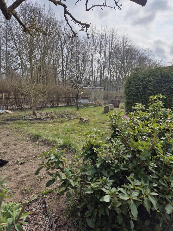 Verkaufe Garten in MecklenburgVorpommern Stralsund Grundstück