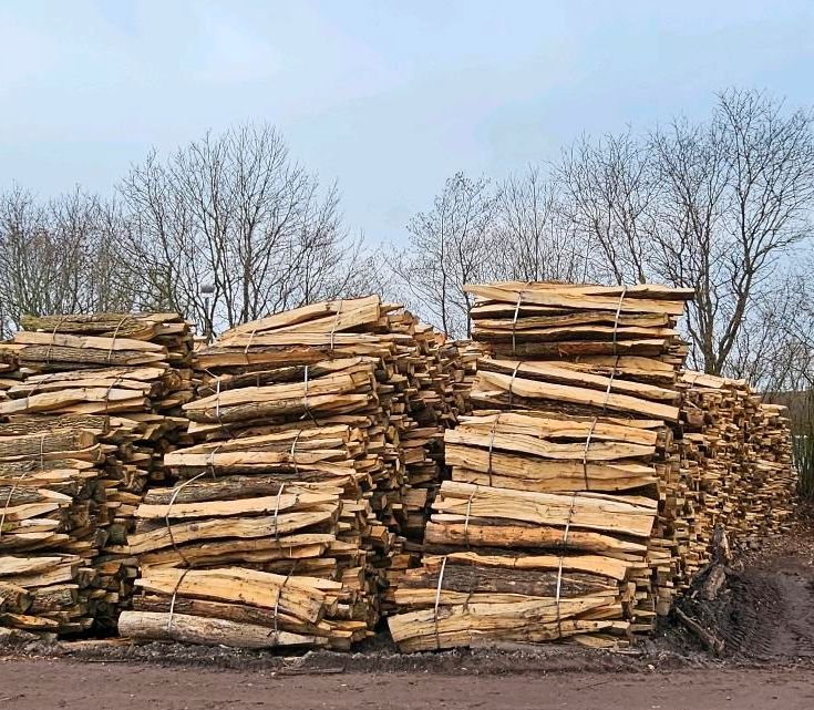 Eichenspaltpfähle Pfahl Pfosten Eiche Holz Zaunbau in Todesfelde