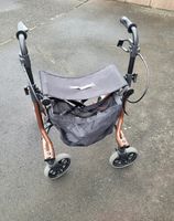 Dietz Rollator, TAIMA, braun-metallic, 6,5kg Nordrhein-Westfalen - Neunkirchen Siegerland Vorschau