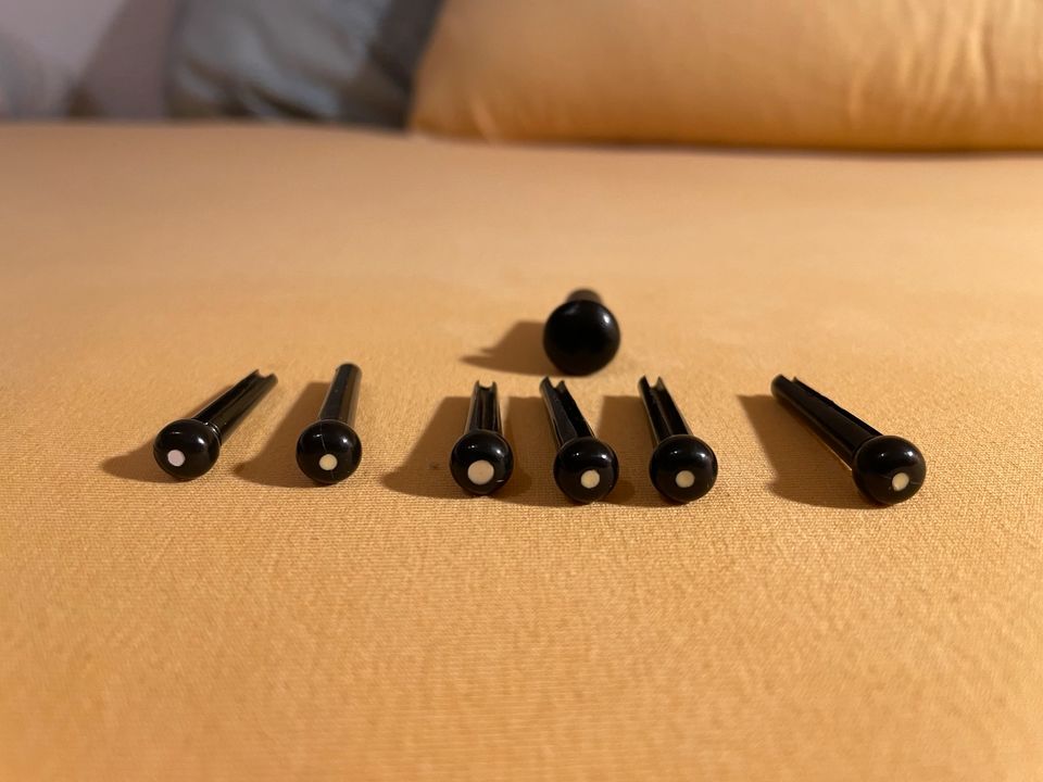 6 Gitarren Stecker Bridge Pins mit Dot und Endpin schwarz in Telgte