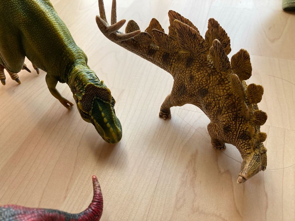 6 Dinosaurier Schleich in Pöding