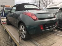 Ford Streetka 1.6 Ersatzteile Gebrauchtteile Schlachtfest Leder Nordrhein-Westfalen - Köln Vogelsang Vorschau