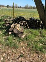 Brennholz, Anfeuerholz Niedersachsen - Braunschweig Vorschau