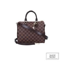 LOUIS VUITTON SPEEDY 25 HENKELTASCHE AUS DAMIER EBENE CANVAS Hessen - Darmstadt Vorschau