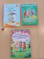 Tilda Apfelkern,Verschiedene Bücher, Vorlesebücher, Leseanfänger Bayern - Kumhausen Vorschau