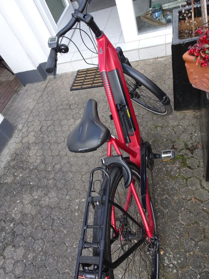 RALEIGH BRISTOL 9 2020 City e-Bike Rot wie neu in Langen (Hessen)