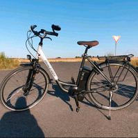 Raleigh Ebike Nordrhein-Westfalen - Telgte Vorschau