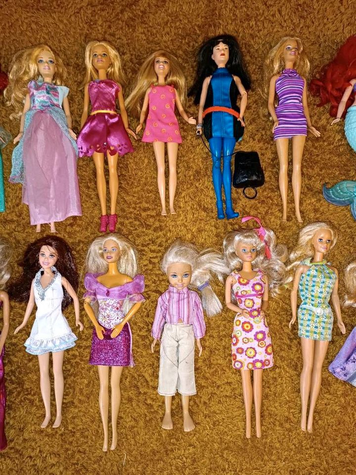 Barbie Puppen Sammlung STK 3€ in Kiel