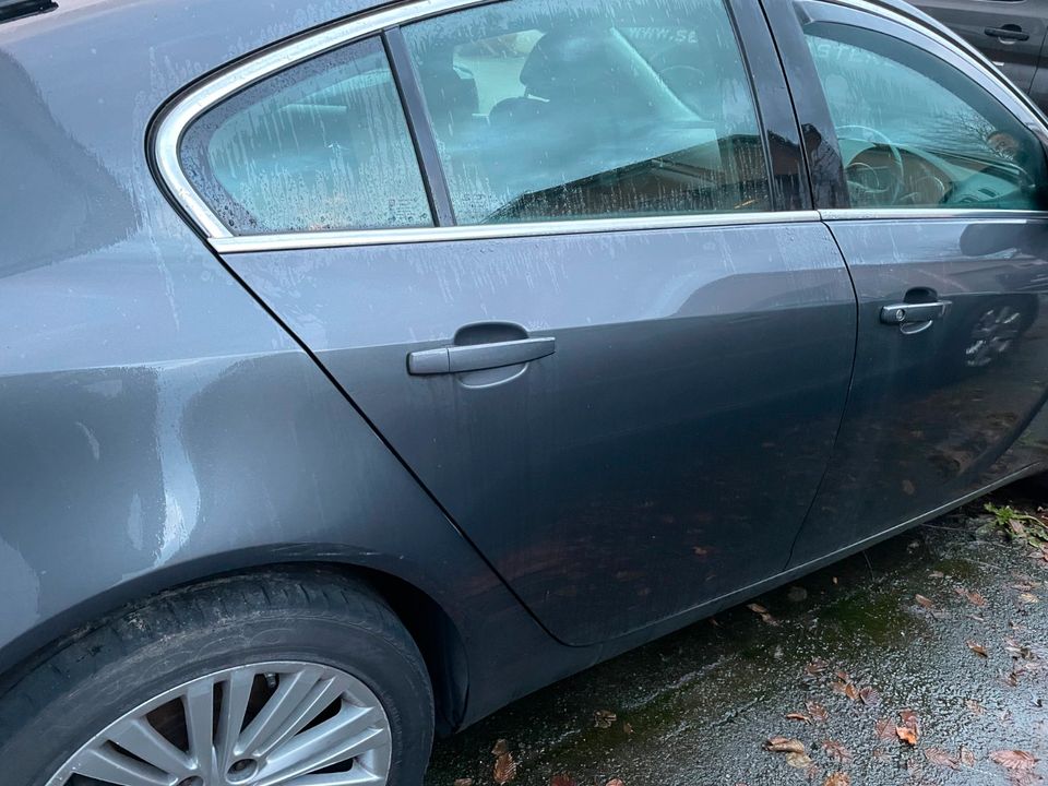 Opel Insignia A Fließheck Tür vorne hinten rechts Z177 in Büchlberg