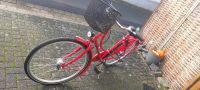 Damen city Bike 28 Zoll top. Hessen - Calden Vorschau