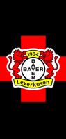 Dauerkarte Bayer 04 Leverkusen Saison 24/25 Rheinland-Pfalz - Remagen Vorschau