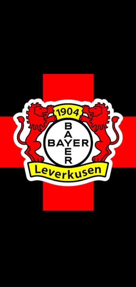 Dauerkarte Bayer 04 Leverkusen Saison 24/25 in Remagen