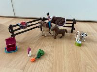 Schleich- Pony Reitstunde mit Fohlen und Hunden Nordrhein-Westfalen - Rhede Vorschau