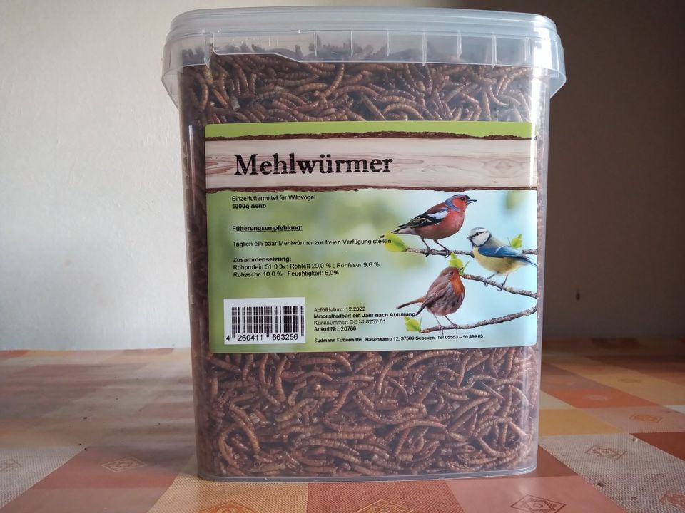 Mehlwürmer 1 Kg in Schillingstedt