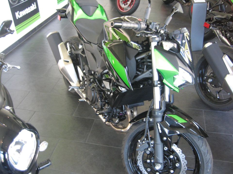 Kawasaki Z400 in grün**Mod. 2023** in Kammeltal