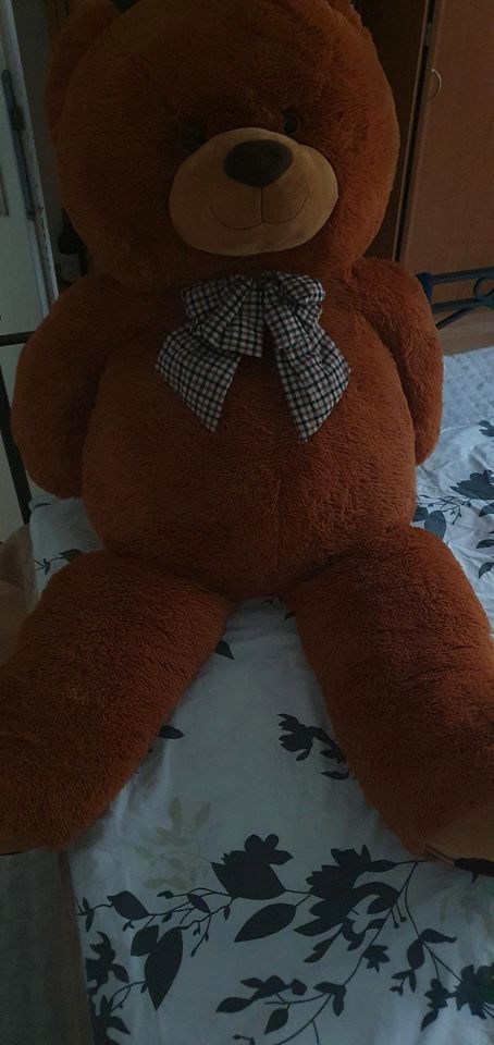 Teddybär xl in Weilheim i.OB