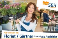 Florist / Gärtner als Lehrer / Ausbilder (m/w/d) Hamburg Hamburg-Mitte - Hamburg Hammerbrook Vorschau