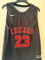 Chicago Jordan 23 NBA Burglesum - Burg-Grambke Vorschau