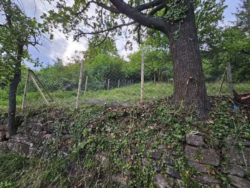 Stück Himmel auf Erden - atemberaubendes Freizeitgrundstück in Tübingen