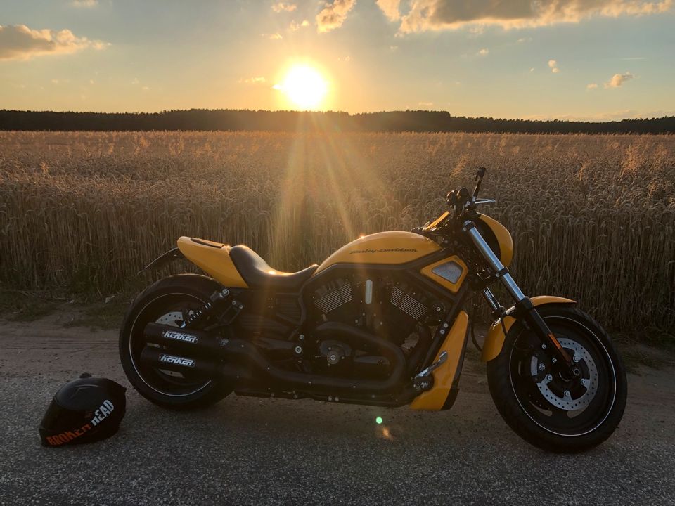 Harley Davidson Night Rod Special Black‘n‘Yellow 260er Thundermax in Aken