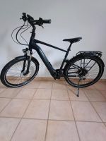 Ebike Pegasus  Savino EVO 12 CX Nordrhein-Westfalen - Dorsten Vorschau