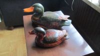 2 Enten, Keramik, Deko Schleswig-Holstein - Krempe Vorschau