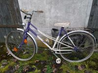 Retro Fahrrad Niedersachsen - Lüchow Vorschau