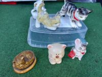 Miniatur-Katzen Brandenburg - Königs Wusterhausen Vorschau