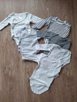 56 er Kurzarm und Langarmbodys * Babyclub * Name it Hessen - Ronneburg Hess Vorschau