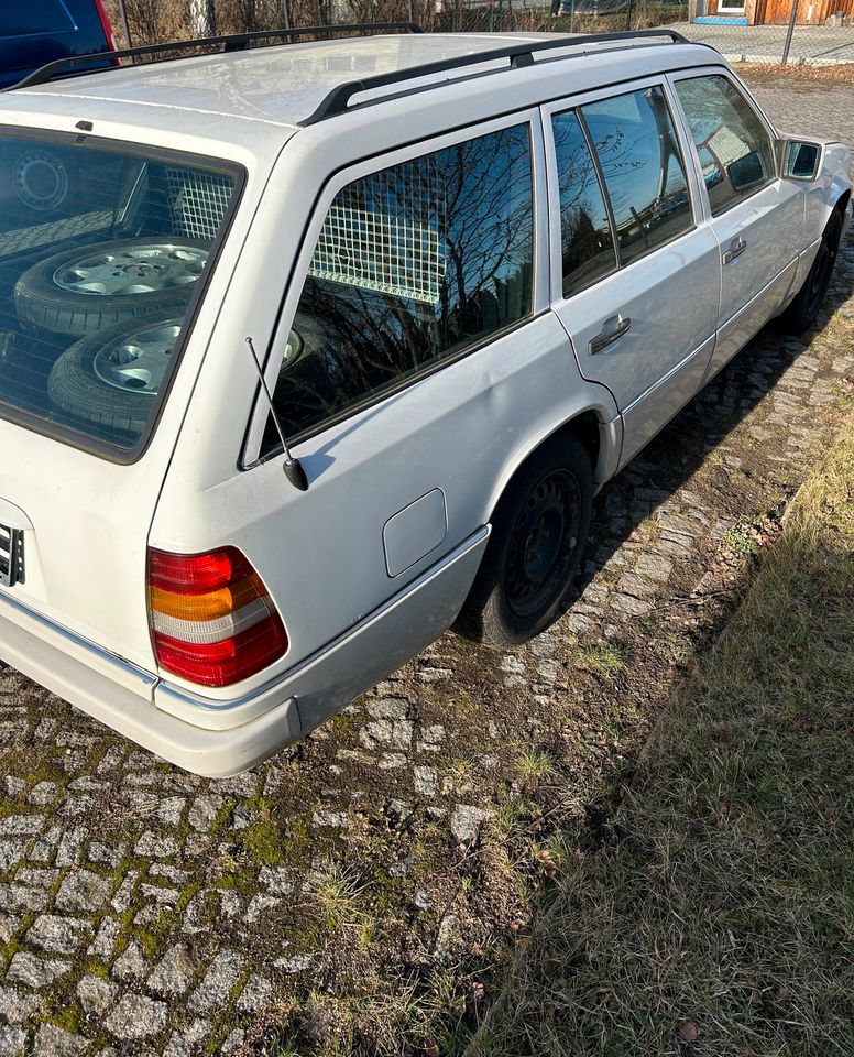 Mercedes W 124 in Coswig