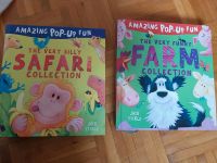 Ich biete zwei Bücher von Amazing Pop Fun in Soltau an Niedersachsen - Soltau Vorschau