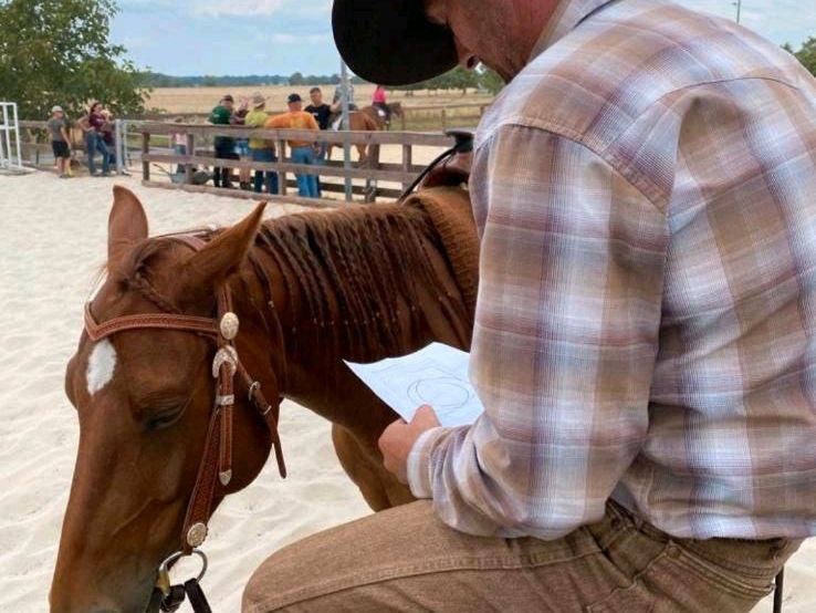 Mobiler Trainer Westernreiten in Potsdam