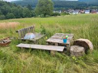 Palettenmöbel/Holz zu verschenken Hessen - Büdingen Vorschau