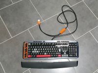 Logitech Gaming Tastatur G710+ / brown Switches + Double Shot Cap Niedersachsen - Langenhagen Vorschau