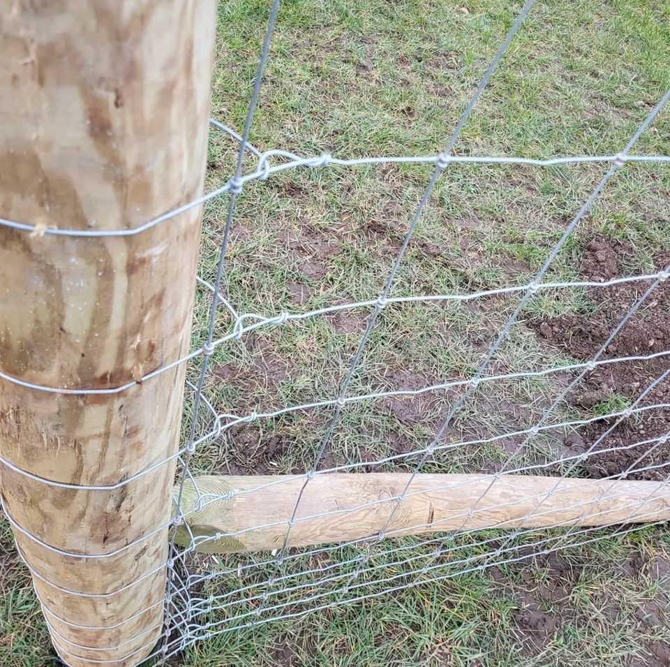 Wildgehege Geflechtzaun Wildzaun Knotengitter in Pforzheim