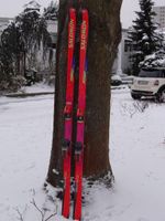 Riesenslalomski "Salomon 9000 Equipe 1S Pr8", 195cm Hessen - Neu-Isenburg Vorschau