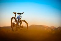 Ebike MTB Pedelec 29'' Adore Enforce Mountainbike SALE Wuppertal - Langerfeld-Beyenburg Vorschau