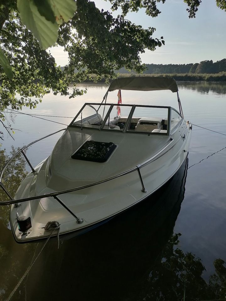 Bayliner 1952  mit Trailer in Lauchhammer