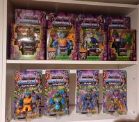 8 x Turtles of Grayskull Masters of the Universe Motu HeMan Baden-Württemberg - Kolbingen Vorschau