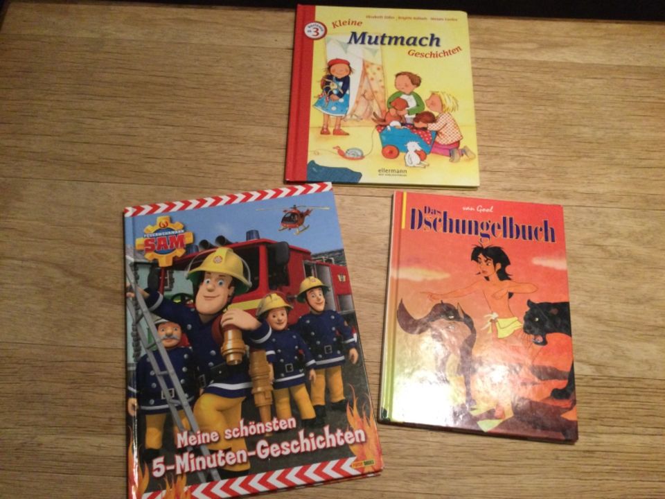 Kinderbücher Mutmachgeschichten Mogli Feuerwehrmann Sam ab 3 Jahr in Osthofen