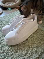 Puma Sneaker Neuwertig Gr.40 Niedersachsen - Hameln Vorschau