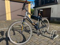 Damen Fahrrad 26“ Focus Medusa Sachsen - Röhrsdorf Vorschau