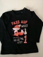 Shirt Größe 80/86 Sachsen - Langenbernsdorf Vorschau