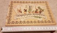 Quartettspiel-Bilderbusch Huftiere von Nicki Sachsen - Radebeul Vorschau