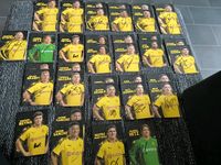 Handsignierte Autogrammkarten - Borussia Dortmund - Saison 19/20 Dortmund - Brechten Vorschau