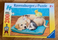 Puzzle Ravensburger 200 Teile Nordrhein-Westfalen - Sassenberg Vorschau