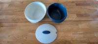 Tupperware Thermoduo 3,1 L Nordrhein-Westfalen - Meschede Vorschau