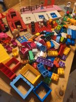 Riesiges Paket an LEGO DUPLO (171 Teile) Hessen - Karben Vorschau